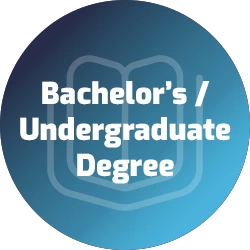 Infographic: Bachelor's or Undergraduate Degree